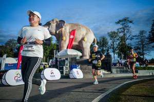 BIB: 
                            <button type="button" onclick="openModal(26541652)" class="btn btn-primary btn-sm float-right btn-popup" data-toggle="modal" data-target=".modal-high-quality">
                        <i class="fas fa-shopping-cart"></i> Add to Cart
                    </button>
                                            <button type="button" onclick="isThisMe(26541652, true)" class="btn btn-success btn-sm float-right btn-popup btn-isme hidden" data-toggle="tooltip" data-placement="bottom" title="นี่คือรูปของคุณใช่ไหม คลิกที่นี่เพื่อเอาเข้าอัลบั้ม">
                        <i class="fas fa-plus"></i> Add to album
                    </button>
                    <button type="button" onclick="isThisMe(26541652, false)" class="btn btn-warning btn-sm float-right btn-popup btn-isnotme hidden">
                        <i class="fas fa-ban"></i> Remove from album
                    </button>